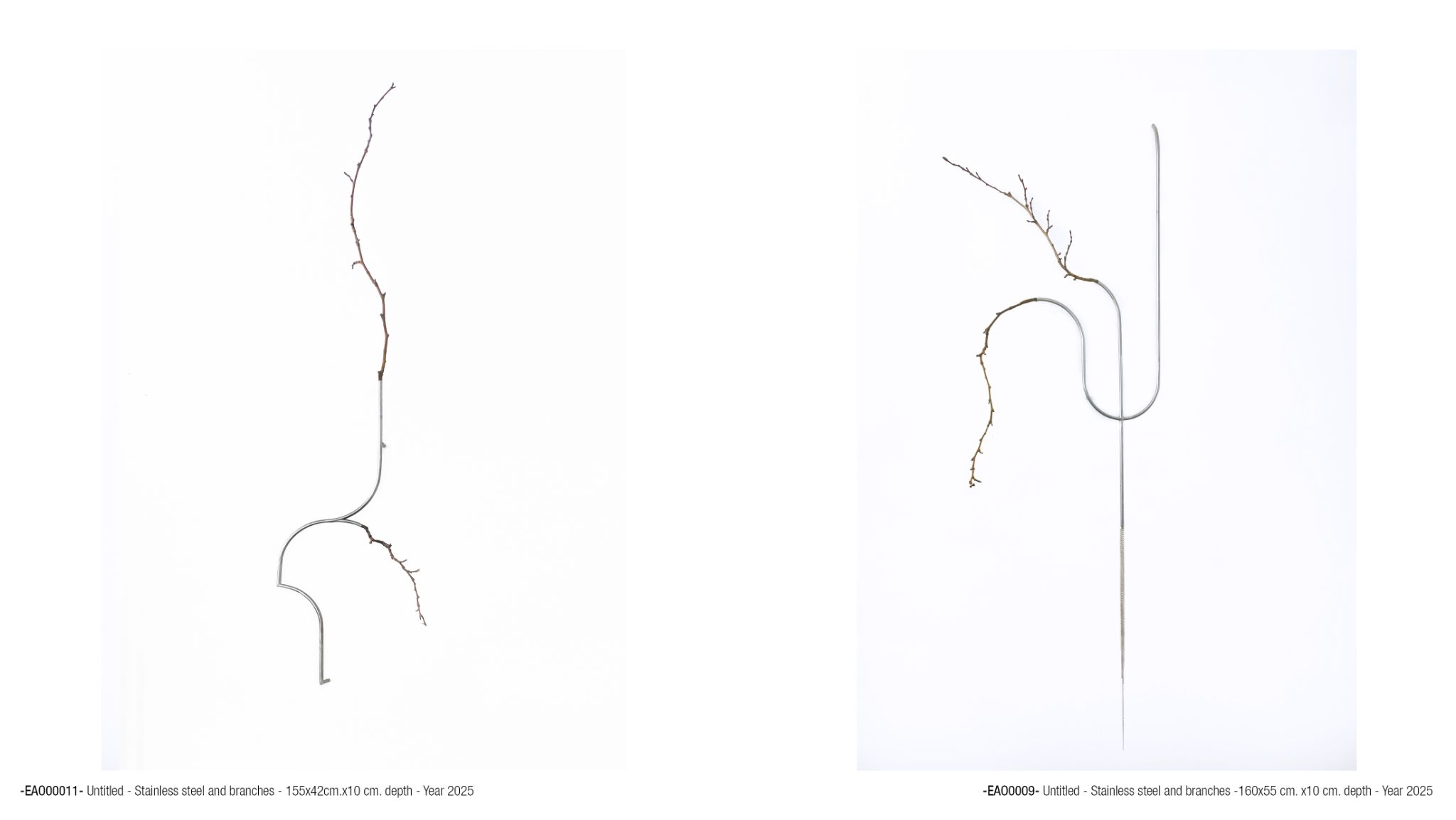 2025 DM port.para web. P3